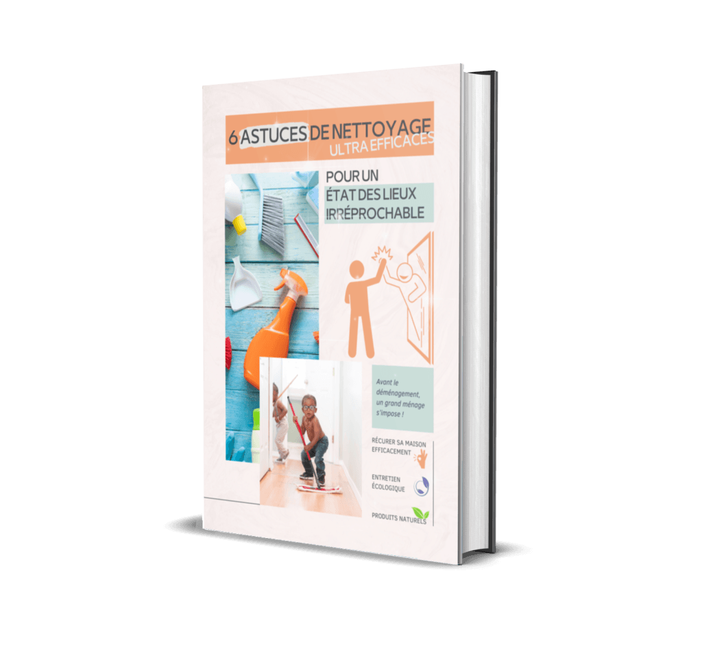 Guide stratégique
