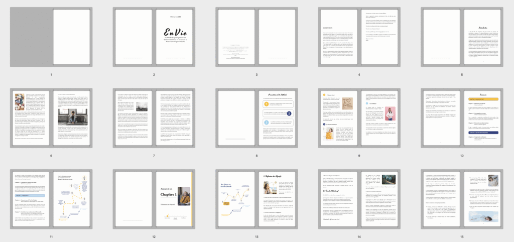 Maquette livre Envie