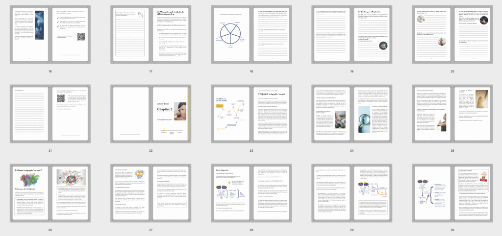 Maquette couverture envie suite