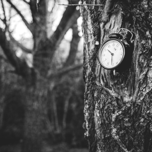 Une chronologie cohérente